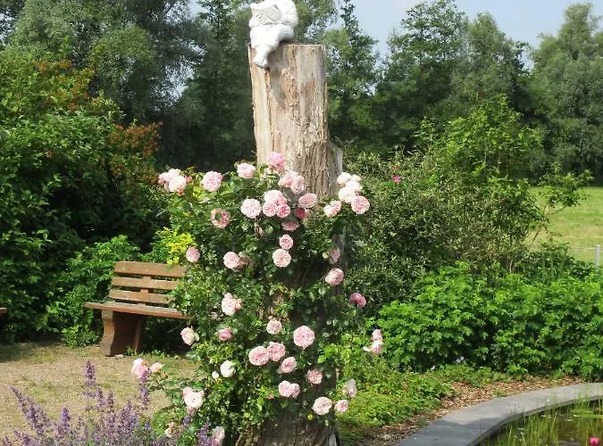 Belitz Garni 酒店 Küsten